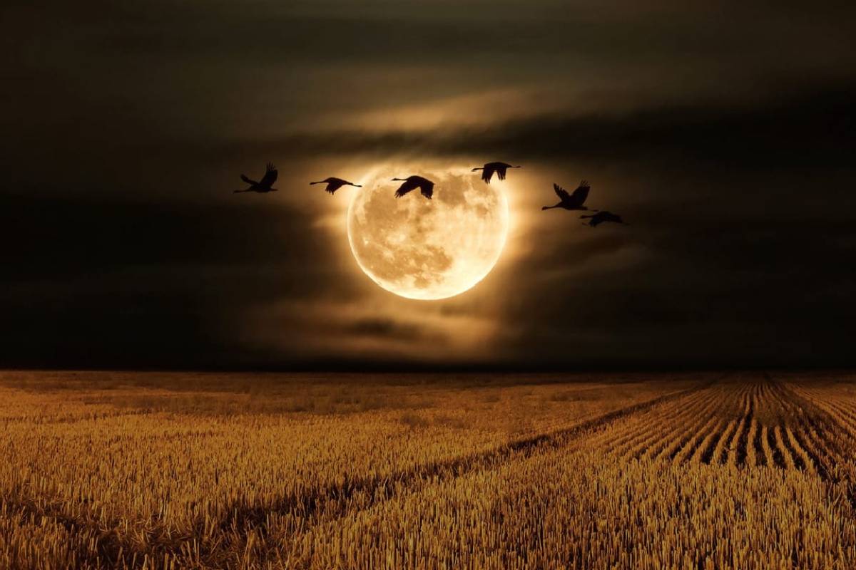 preparate-para-ver-esta-noche-la-luna-del-cazador-y-posiblemente-a-saturno-en-guatemala