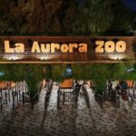 noches-de-luna-en-el-zoologico-la-aurora:-fechas,-horarios-y-como-comprar-las-entradas
