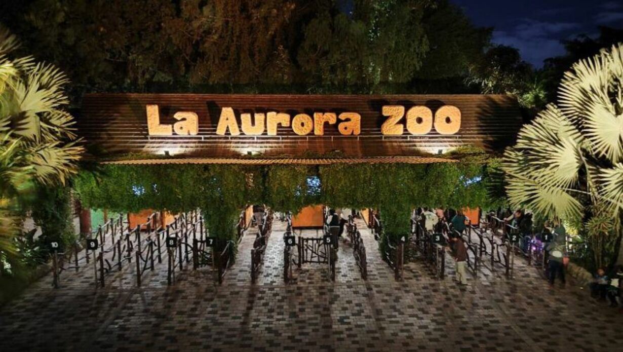 noches-de-luna-en-el-zoologico-la-aurora:-fechas,-horarios-y-como-comprar-las-entradas