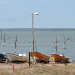 laguna-chasico-busca-recuperar-el-pejerrey-con-una-nueva-siembra-de-100-mil-alevinos