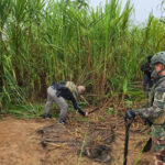 dos-cuerpos,-proyectiles-y-trampas-explosivas-en-la-pampa:-buscan-mas-fosas-en-zona-minera-de-madre-de-dios
