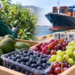 agroexportaciones-superan-los-us$8.300-millones,-pero-crecen-2,3%:-tres-frutas-lideran-los-envios