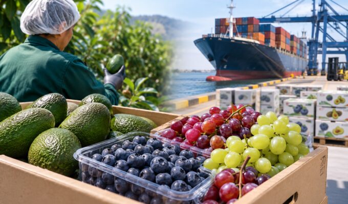 agroexportaciones-superan-los-us$8.300-millones,-pero-crecen-2,3%:-tres-frutas-lideran-los-envios