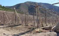 agricultores-temen-que-recortes-a-indap-frenen-recuperacion-productiva