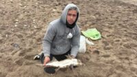 buenas-capturas-de-peces-elefante-en-quequen-y-necochea-pese-al-mal-tiempo