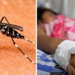 nina-de-4-anos-muere-por-dengue-en-la-libertad:-region-acumula-mas-de-10.000-casos-y-5-fallecidos