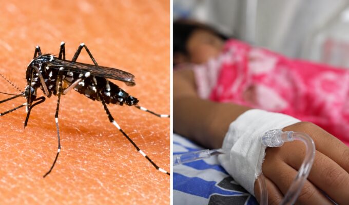 nina-de-4-anos-muere-por-dengue-en-la-libertad:-region-acumula-mas-de-10.000-casos-y-5-fallecidos