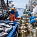 conservas-de-pescado:-mercado-peruano-crece-3%-en-valor-y-exportaciones-aumentan-44,8%-en-agosto