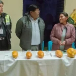 prometen-apoyo-para-la-venta-de-papaya-ecologica-en-el-alto