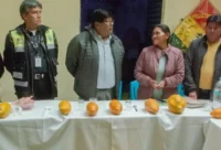 prometen-apoyo-para-la-venta-de-papaya-ecologica-en-el-alto