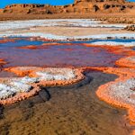 uno-de-los-lugares-mas-calientes-del-mundo-alberga-vida:-asi-es-el-desierto-patrimonio-de-la-humanidad-cuyo-suelo-supero-los-80-°c