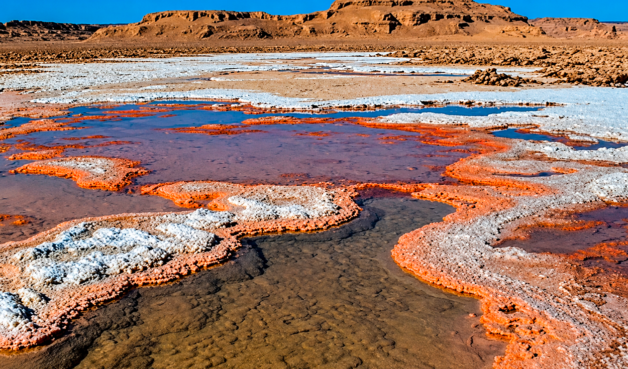 uno-de-los-lugares-mas-calientes-del-mundo-alberga-vida:-asi-es-el-desierto-patrimonio-de-la-humanidad-cuyo-suelo-supero-los-80-°c