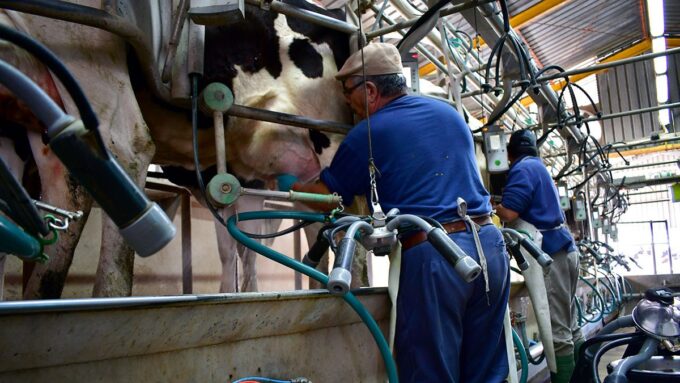 remision-de-leche-desde-los-tambos-a-la-industria-tuvo-el-mejor-setiembre-de-la-historia