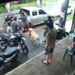 orekoma-captura:-ho’a-rayo-sobre-volai-machetero