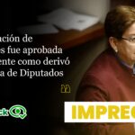 el-senado-no-aprobo-la-delegacion-de-facultades-exactamente-como-la-derivo-la-camara-de-diputados