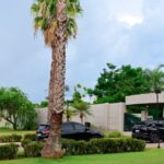 brazil-cancels-flavio-bolsonaro’s-passports-with-whereabouts-unclear