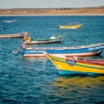 gobierno-declara-emergencia-preventiva-por-amenaza-de-marea-roja-en-15-regiones:-coquimbo-esta-entre-ellas