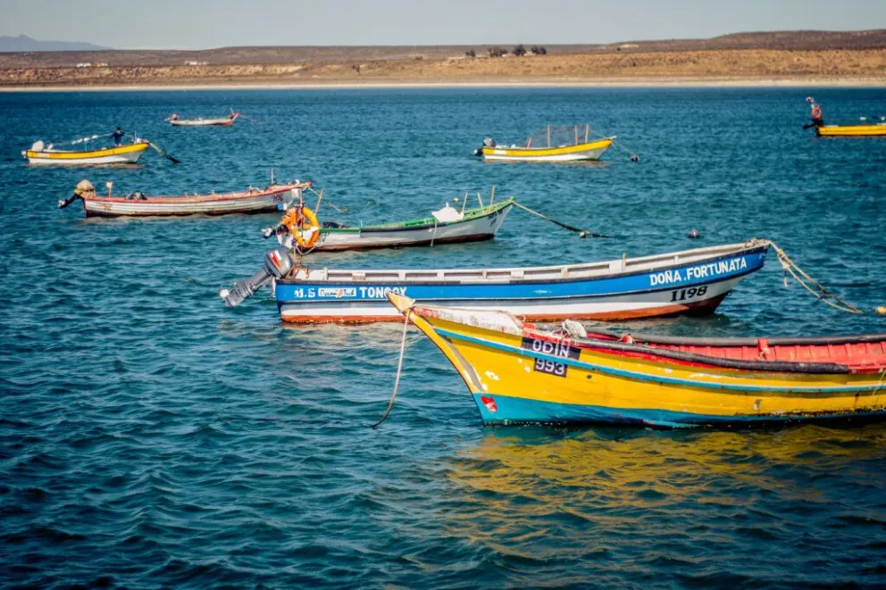 gobierno-declara-emergencia-preventiva-por-amenaza-de-marea-roja-en-15-regiones:-coquimbo-esta-entre-ellas