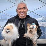 cesar-millan,-el-‘encantador-de-perros’:-“lo-que-sientes-se-convierte-en-tu-energia,-y-eso-es-lo-unico-que-tu-perro-sabe-de-ti”
