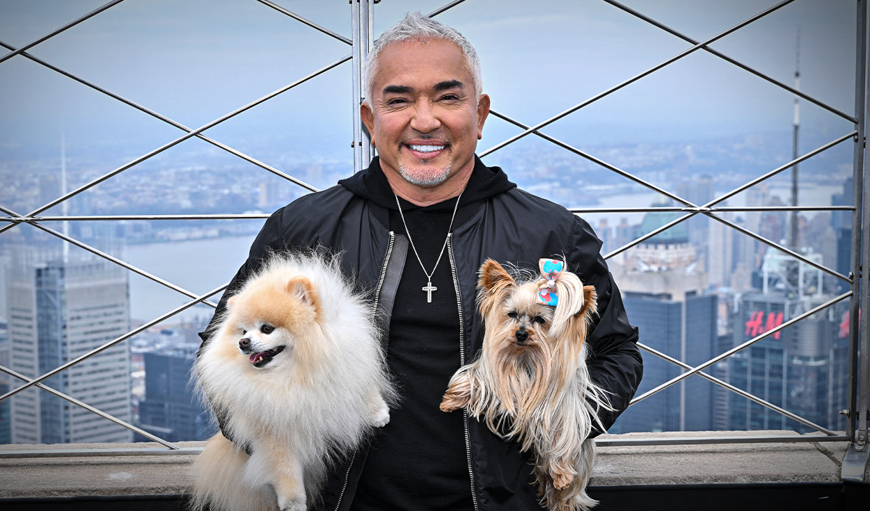 cesar-millan,-el-‘encantador-de-perros’:-“lo-que-sientes-se-convierte-en-tu-energia,-y-eso-es-lo-unico-que-tu-perro-sabe-de-ti”