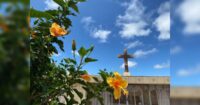 confira-os-falecimentos-desta-quarta-feira-(28)-em-ivaipora