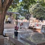 confira-os-falecimentos-desta-quarta-feira-(28)-em-arapongas