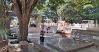 confira-os-falecimentos-desta-quarta-feira-(28)-em-arapongas