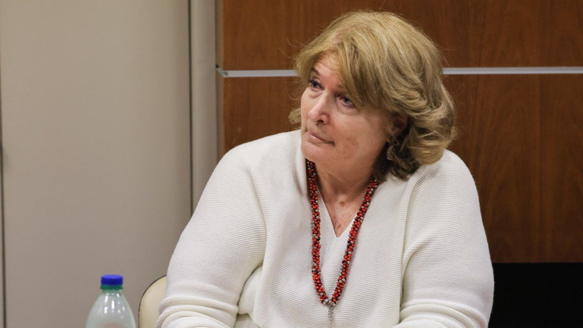 cronica-de-una-condena-negociada:-reproches-entre-los-abogados-de-las-victimas-marcaron-la-audiencia-en-la-que-se-cerro-el-caso-penal-de-sara-goldring