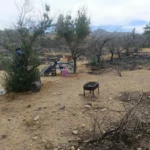 conaf-advierte-temporada-critica-de-incendios-tras-siniestros-ocurridos-el-fin-de-semana