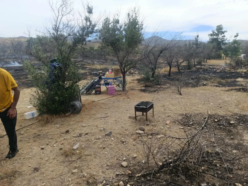 conaf-advierte-temporada-critica-de-incendios-tras-siniestros-ocurridos-el-fin-de-semana