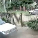 ¡chofer omuna-y-atropello-a-una-mujer por robo de lelu!