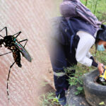 alerta-epidemiologica-en-tumbes:-confirman-2.394-contagios-de-dengue-impulsados-por-lluvias-de-el-nino