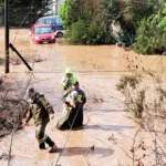 proyecto-busca-incluir-a-los-animales-en-la-planificacion-de-emergencias-en-chile