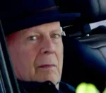 ¡donaran-el-cerebro-del-actor-bruce-willis!