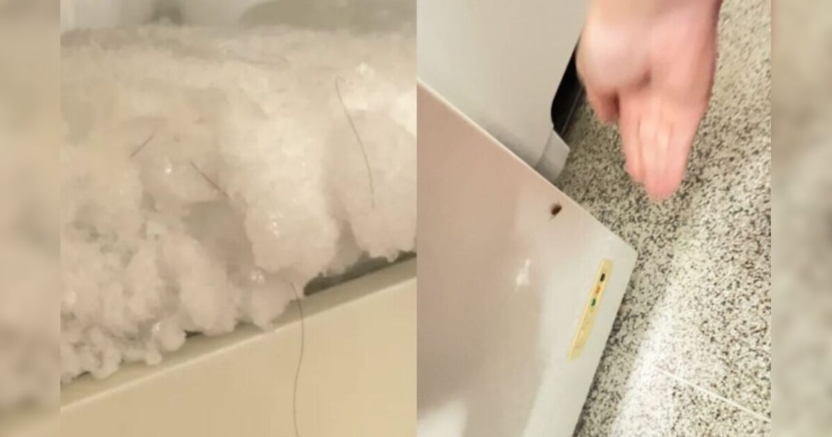 cozinha-de-escola-municipal-do-pr-e-interditada-apos-fiscalizacao-flagrar-baratas-em-freezers