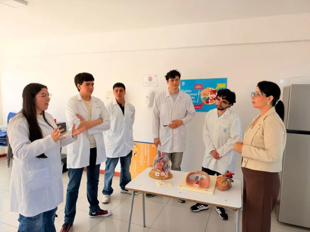 anuncian-cerca-de-300-becas-de-magister-para-profesionales-titulados-de-ip