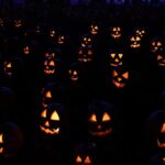 asi-podes-blindar-tu-vida,-tu-auto-y-hasta-el-perro-en-halloween