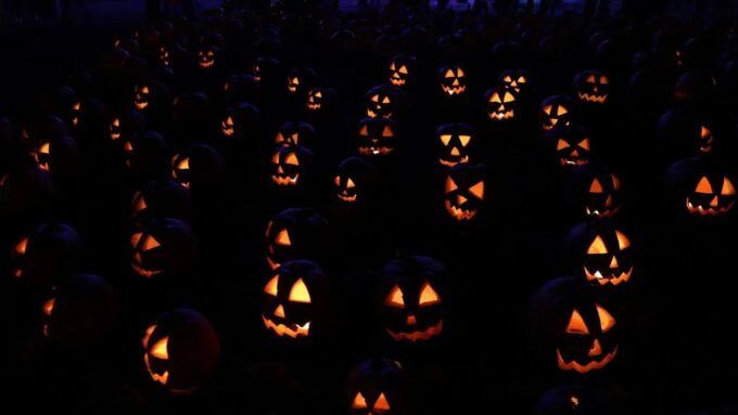 asi-podes-blindar-tu-vida,-tu-auto-y-hasta-el-perro-en-halloween