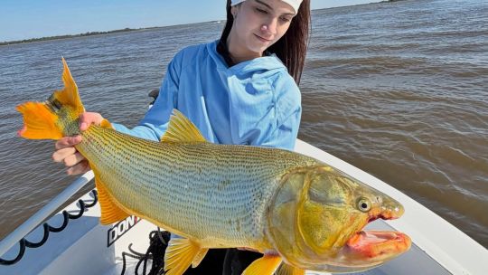 dorados-y-surubies-en-aguas-altas-correntinas:-como-esta-la-pesca-en-esquina