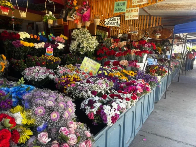 floristas-se-preparan-para-el-dia-de-todos-los-santos-con-expectativas-positivas