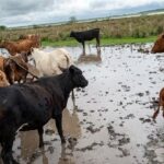 asistieron-a-productores-afectados-por-la-crecida