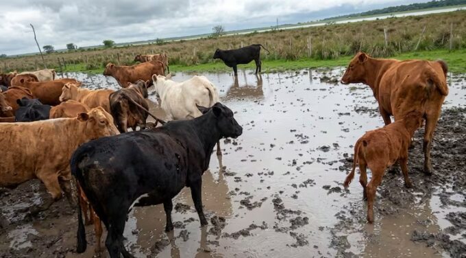 asistieron-a-productores-afectados-por-la-crecida