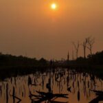 au-bresil,-les-marges-de-manoeuvre-limitees-de-lula-sur-la-protection-de-l’environnement