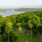 biodiversidad-en-america-latina:-faltan-usd-153-mil-millones-al-ano-para-su-conservacion