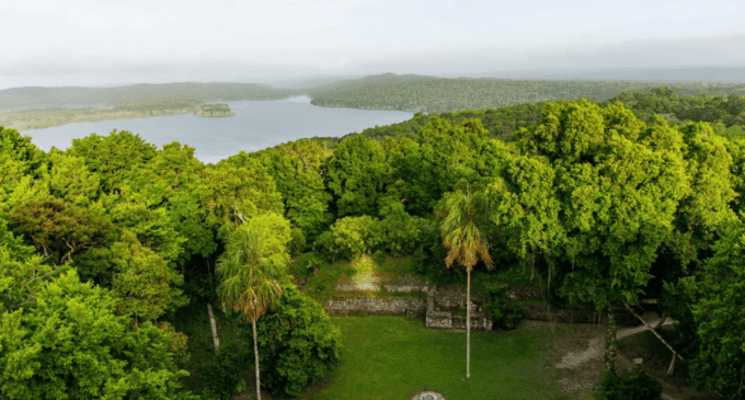 biodiversidad-en-america-latina:-faltan-usd-153-mil-millones-al-ano-para-su-conservacion