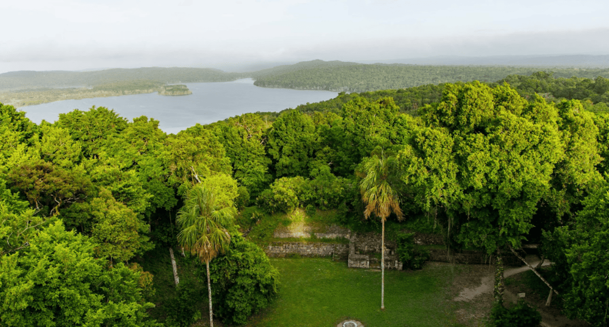 biodiversidad-en-america-latina:-faltan-usd-153-mil-millones-al-ano-para-su-conservacion
