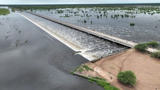 una-obra-en-formosa-bloquea-la-migracion-del-sabalo-y-amenaza-la-pesca