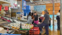 llaman-a-la-tranquilidad-tras-emergencia-preventiva-por-marea-roja