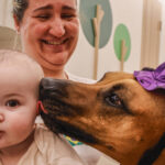 visitas-de-animais-a-hospitais-ajudam-a-reduzir-estresse-e-melhorar-bem-estar-dos-pacientes