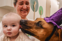visitas-de-animais-a-hospitais-ajudam-a-reduzir-estresse-e-melhorar-bem-estar-dos-pacientes